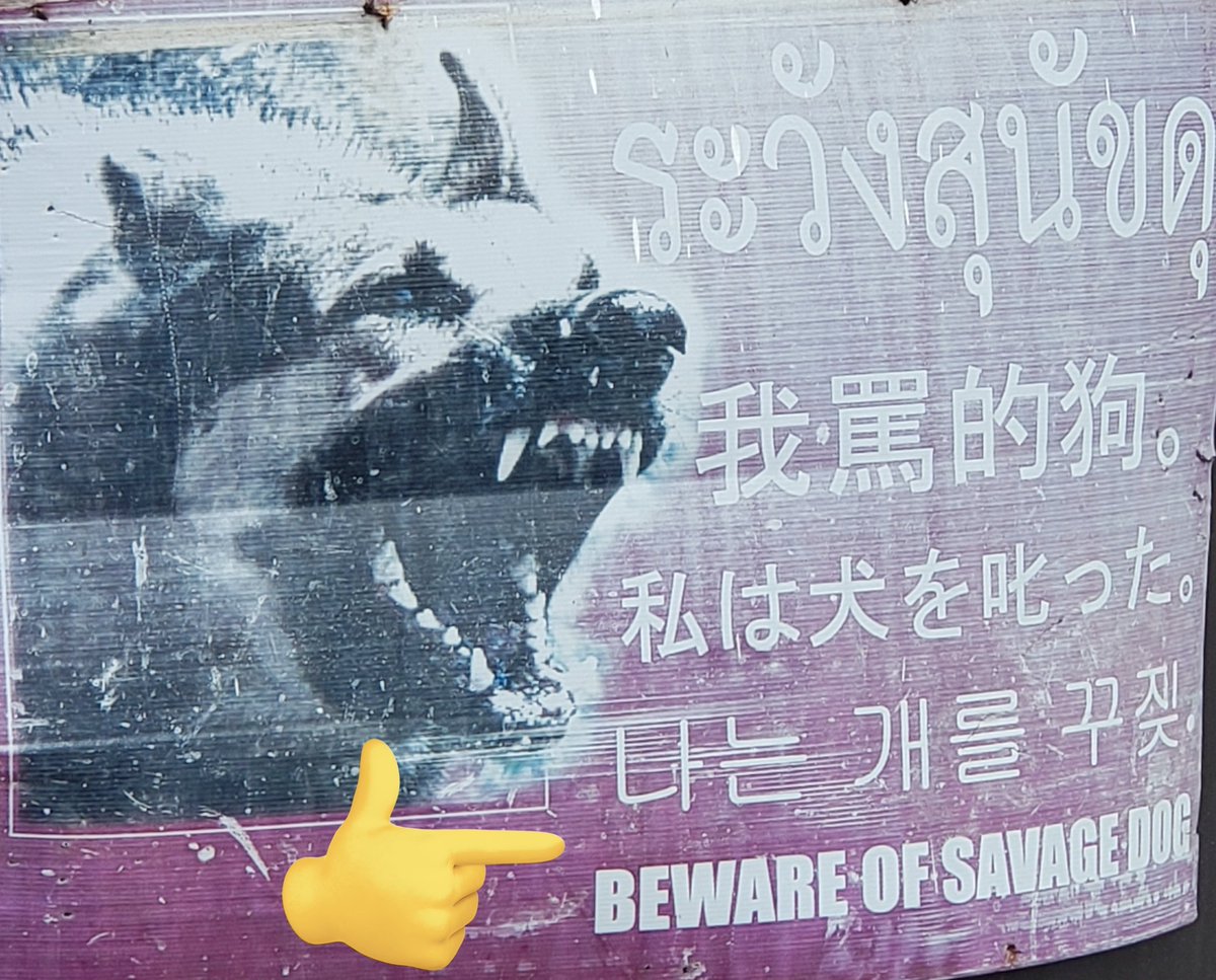 Kirill Traveling tweet media