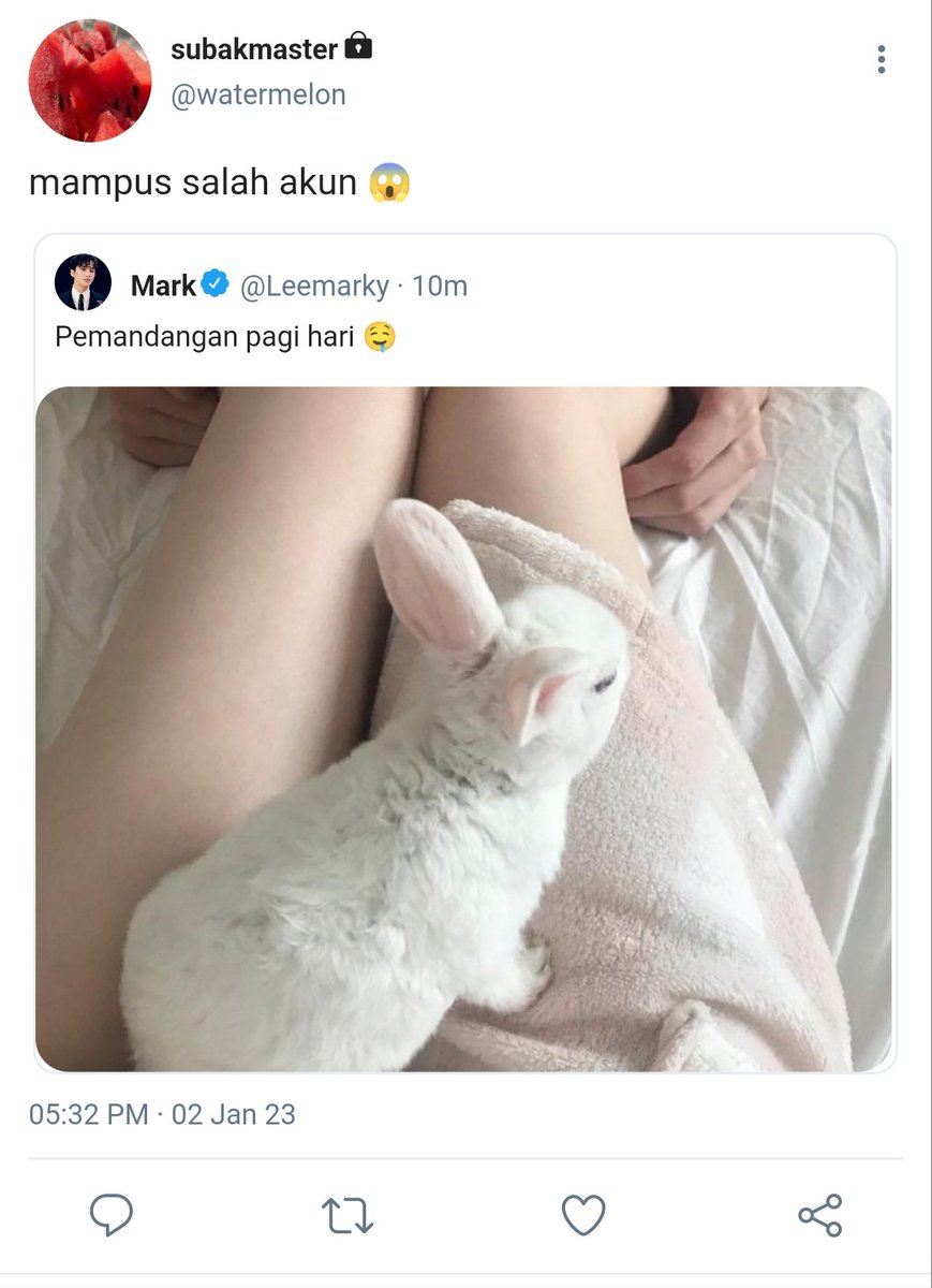 Dieradios's tweet photo. Markmin tweet au

cw// body image

Salah akun https://t.co/154uKN3On2