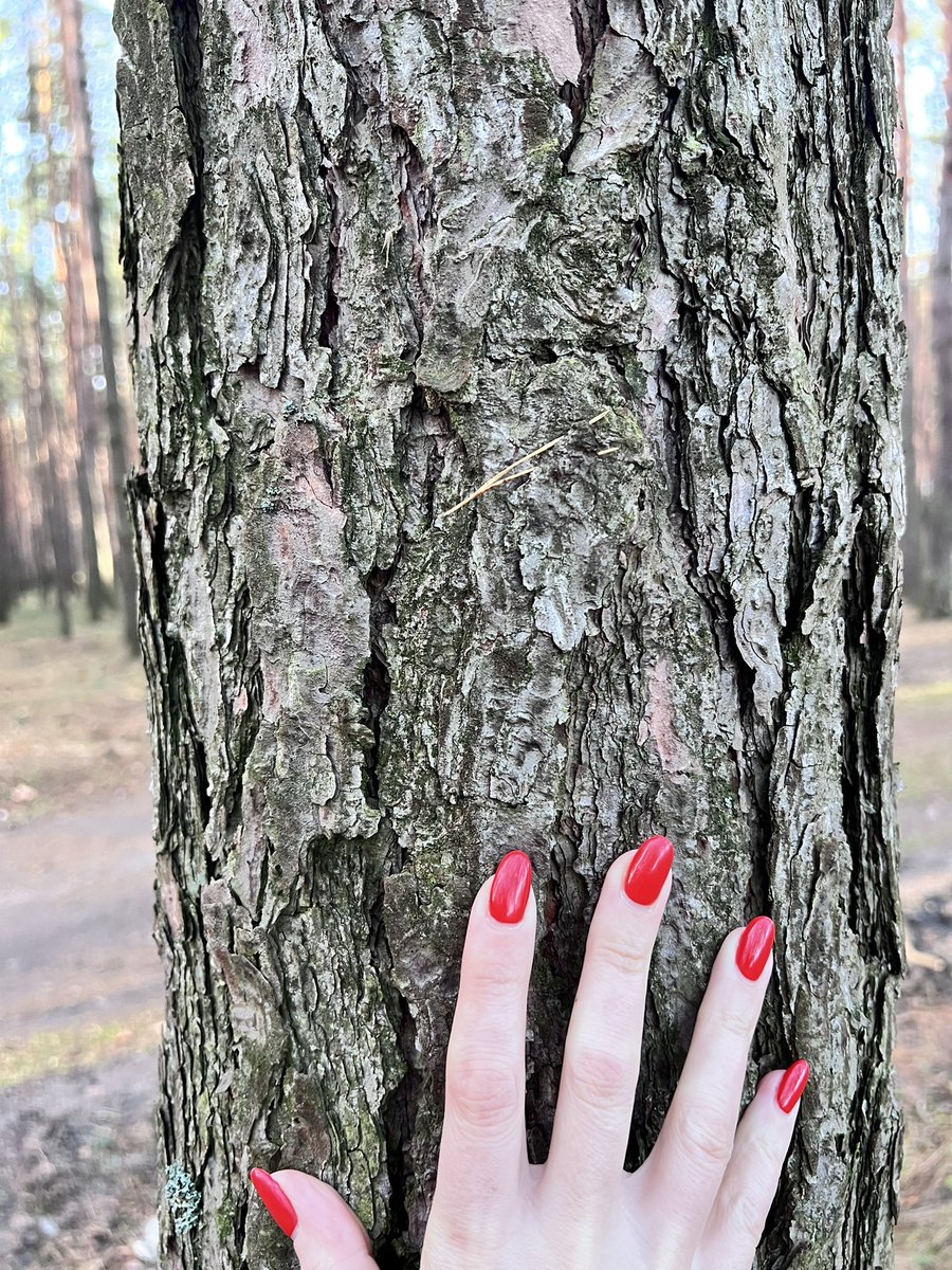 Yaroslava tweet media