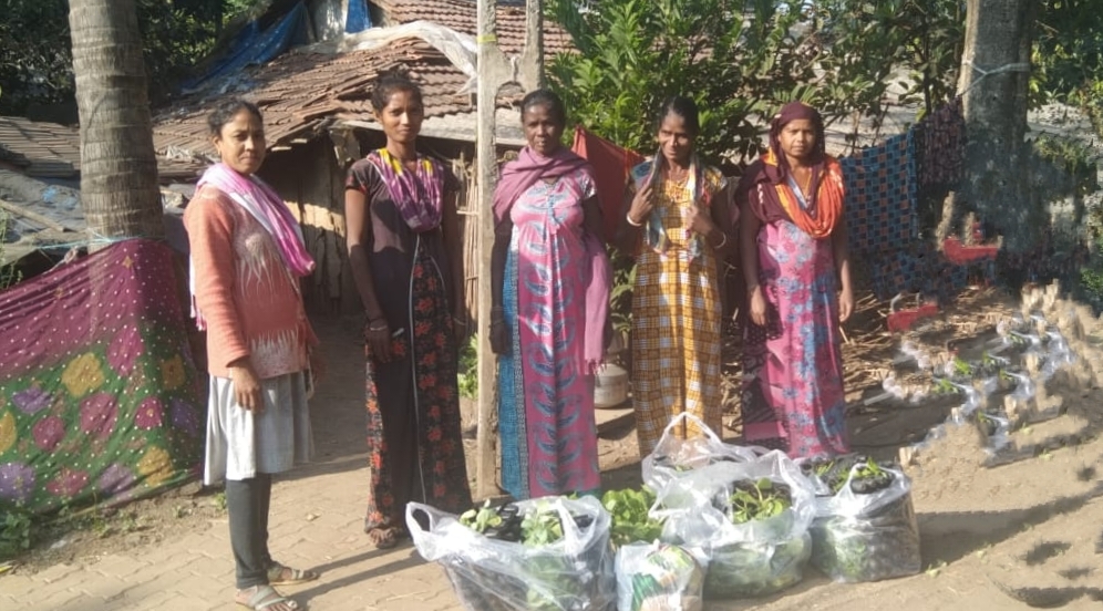 ActionAidIndia's tweet photo. Here are some glimpses of women from tribal communities in Navsari district of Gujarat standing proudly in their kitchen garden and with their produce. We are pleased to support and train these women to set up and maintain kitchen gardens. #ActWithHer #LivelihoodMatters https://t.co/NSpPj7xg7b