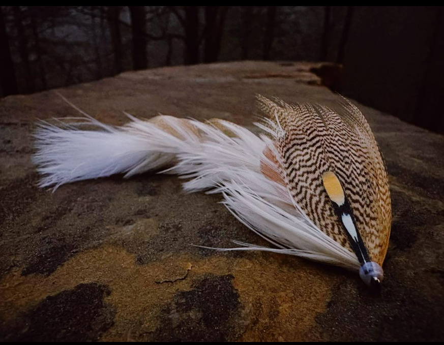 Saltwateronfly's tweet photo. Interesting styling on this Game Changer,
it's got a Maserati look
@tuftdrift
The final fly of 2022.
๐ฆ
Grateful for a year of learning and pursuing the love of fly tying.
๐ชถ
#flytying #gamechanger #featherchanger #whitingfarms
#midwestbugs #gratefulflies #ohioflyfishing https://t.co/bw74pBx1L8