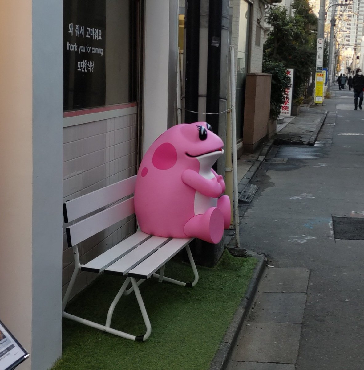 巨大なカエル 大久保付近にカラフルな蛙が増えています。桃色の個体が