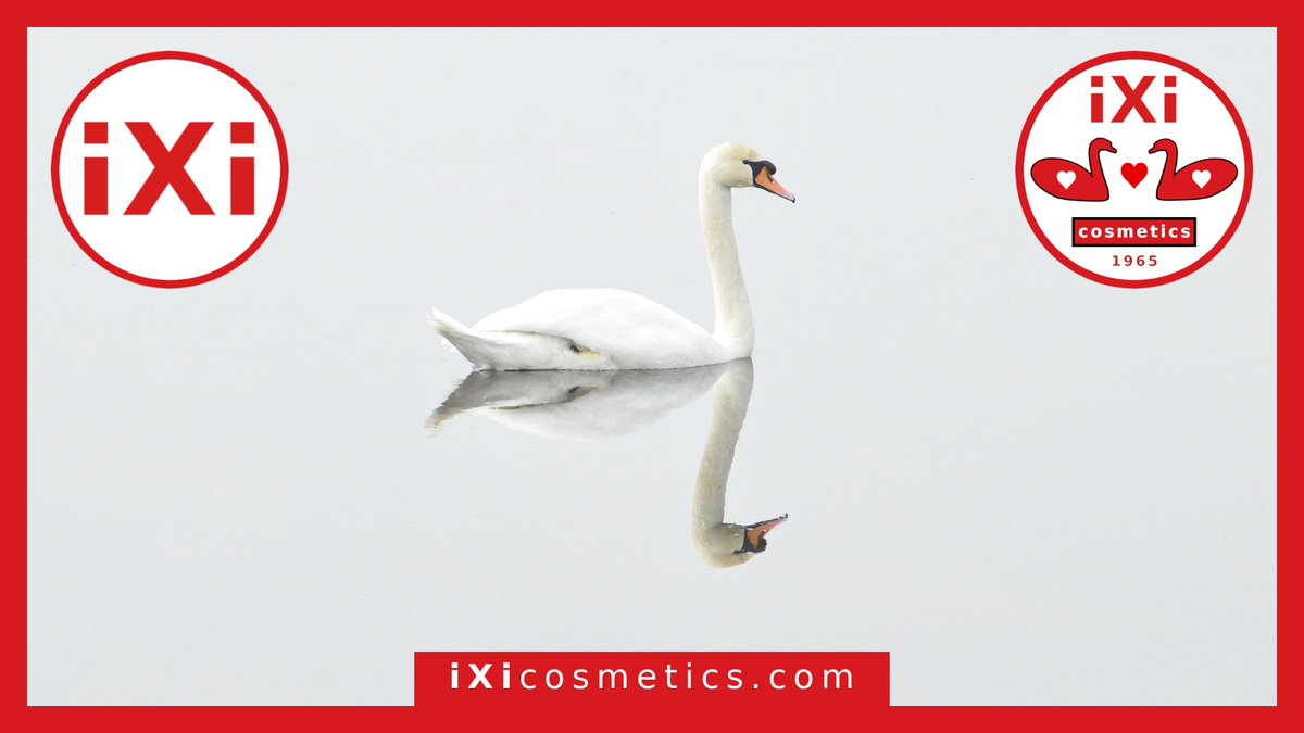 ixicosmetics's tweet photo. The number of swan eggs in each clutch ranges from three to eight.
#ixi #ixicosmetics #ixi1965 #swan #cosmetics #geese #ducks #water #sun #ecology #live #love #life https://t.co/vBg8HtzwXq