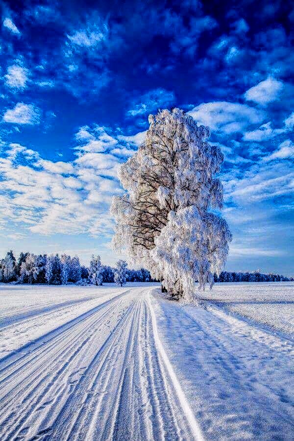 Michel L (@meuleumichel) on Twitter photo 