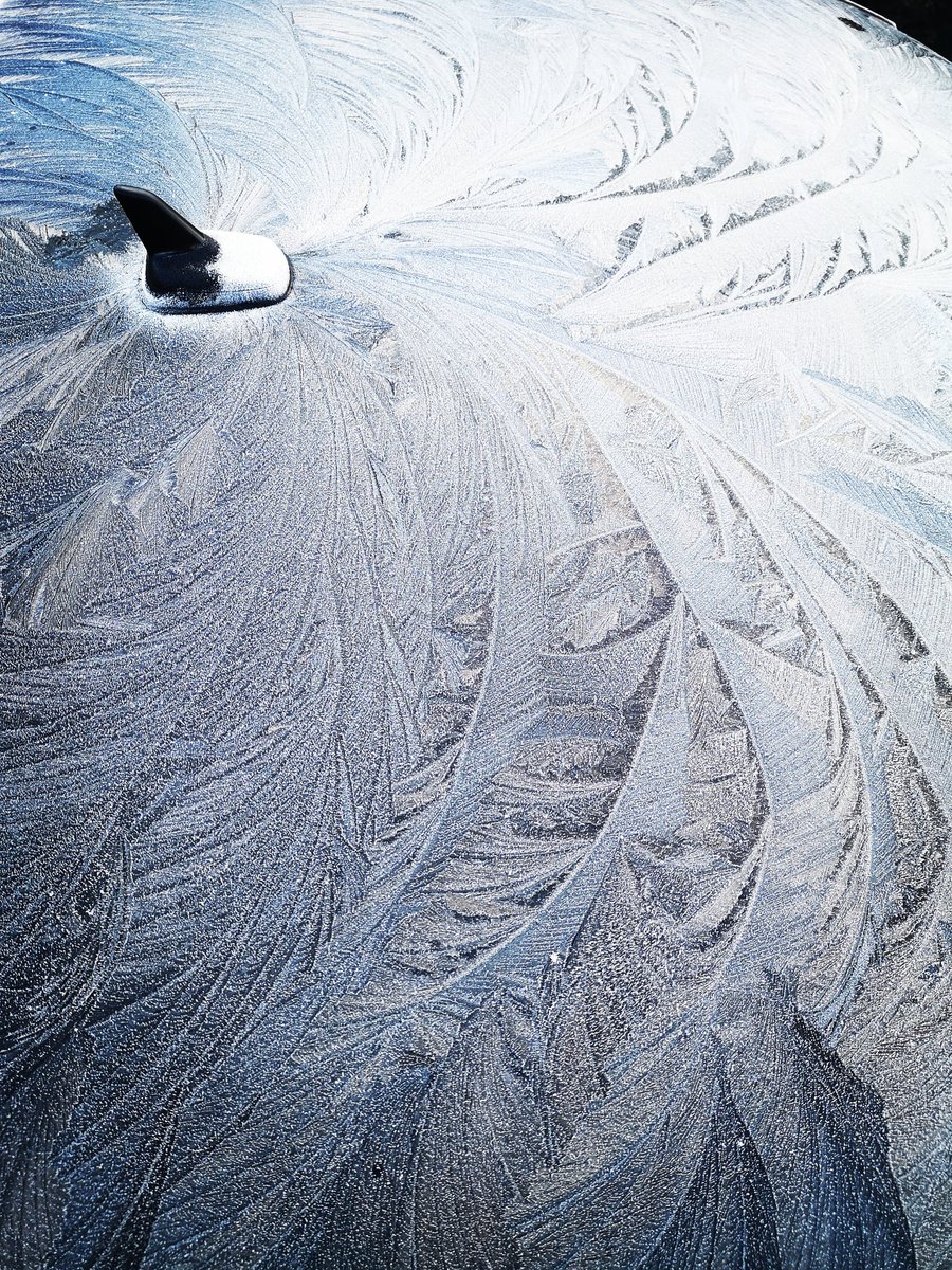 LauraDentArt's tweet image. #jackfrost has been very busy creating these beautiful patterns on my car, if only they could last longer ❄️🎇❄️
#ice #icepatterns #texturehuntergatherer #texture #patterns #frost #frostpatterns #lookclosely #NaturePhotography