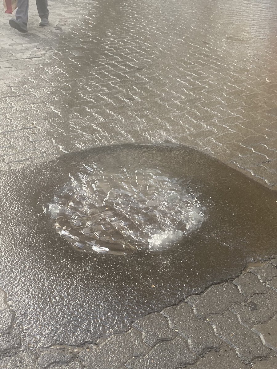 radhikakumar92's tweet photo. @mybmcWardD urgent - there’s a major water leakage on LD Ruparel Marg, outside of Manek building. Can somebody look into it? Is there a number I can call to report it? It is a hazard to pedestrians and vehicles https://t.co/wyJFsa1NWV