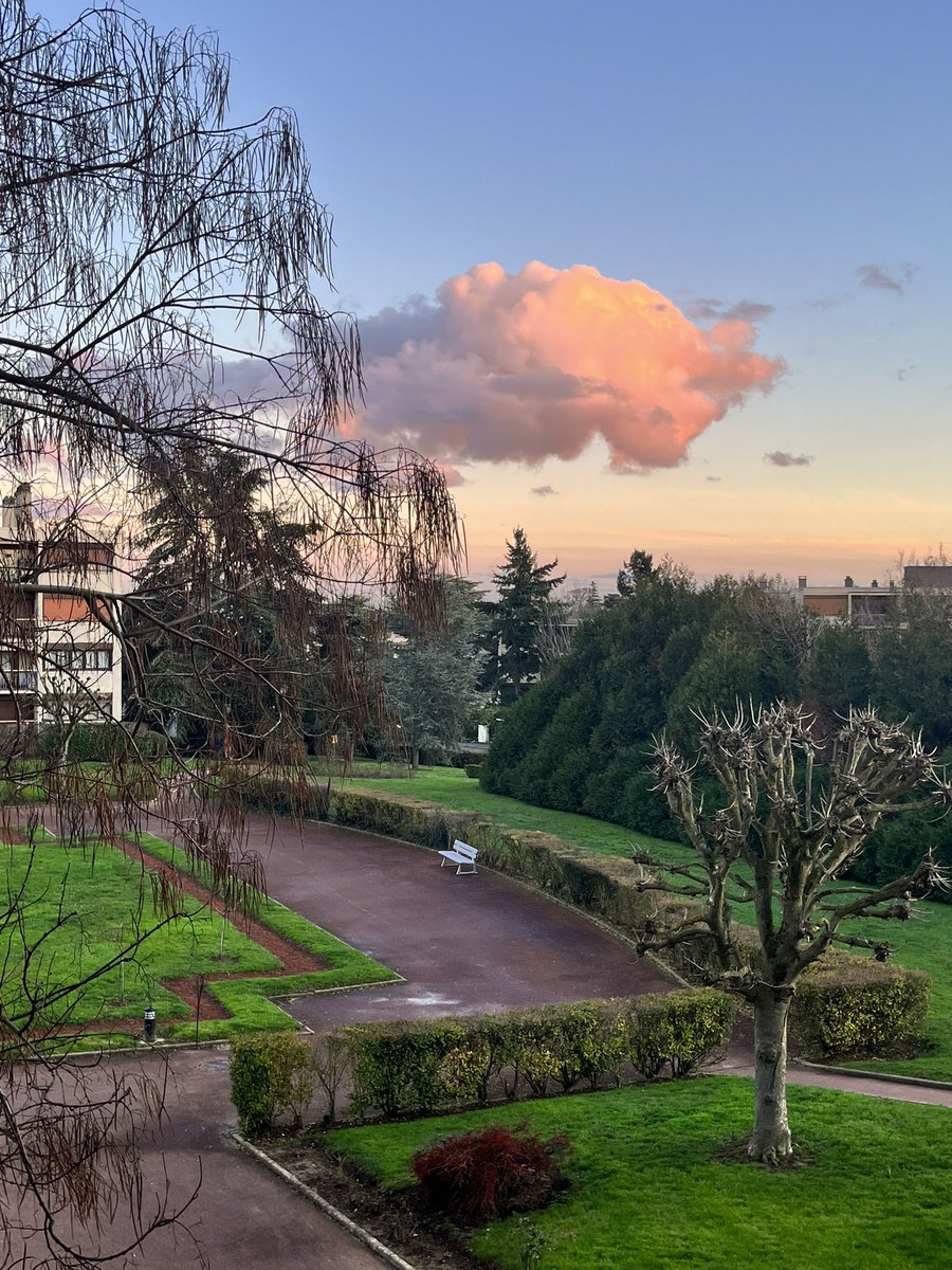 MaudValet's tweet photo. Un peu de douceur pour vous souhaiter une année magique et surprenante, joyeuse et sereine, piquante et éclatante ✨🎉 #cieldefeu #bonneannee2023 #BonneAnnee #avgeeks https://t.co/KJ2dMTo9tD