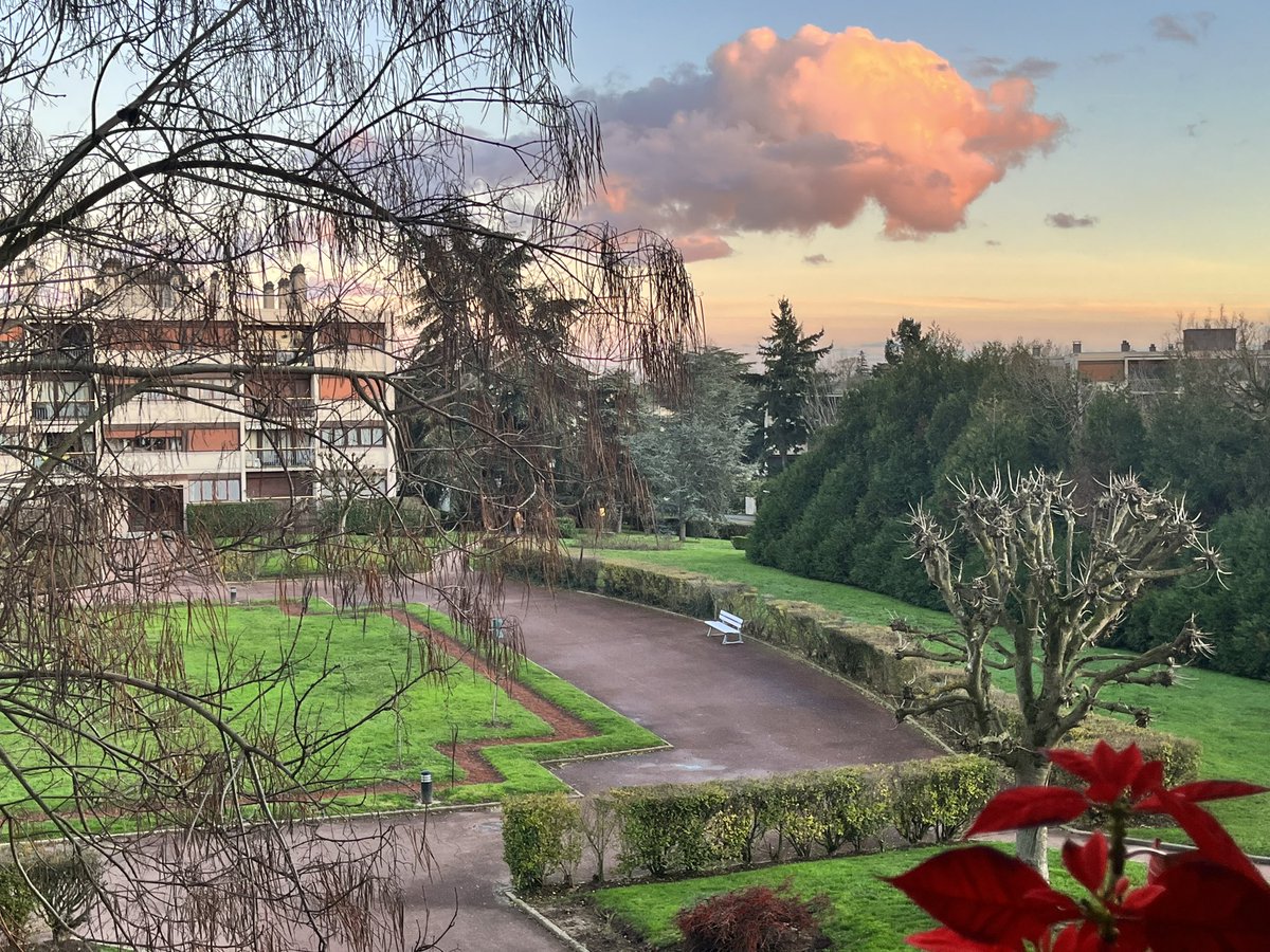 MaudValet's tweet photo. Un peu de douceur pour vous souhaiter une année magique et surprenante, joyeuse et sereine, piquante et éclatante ✨🎉 #cieldefeu #bonneannee2023 #BonneAnnee #avgeeks https://t.co/KJ2dMTo9tD