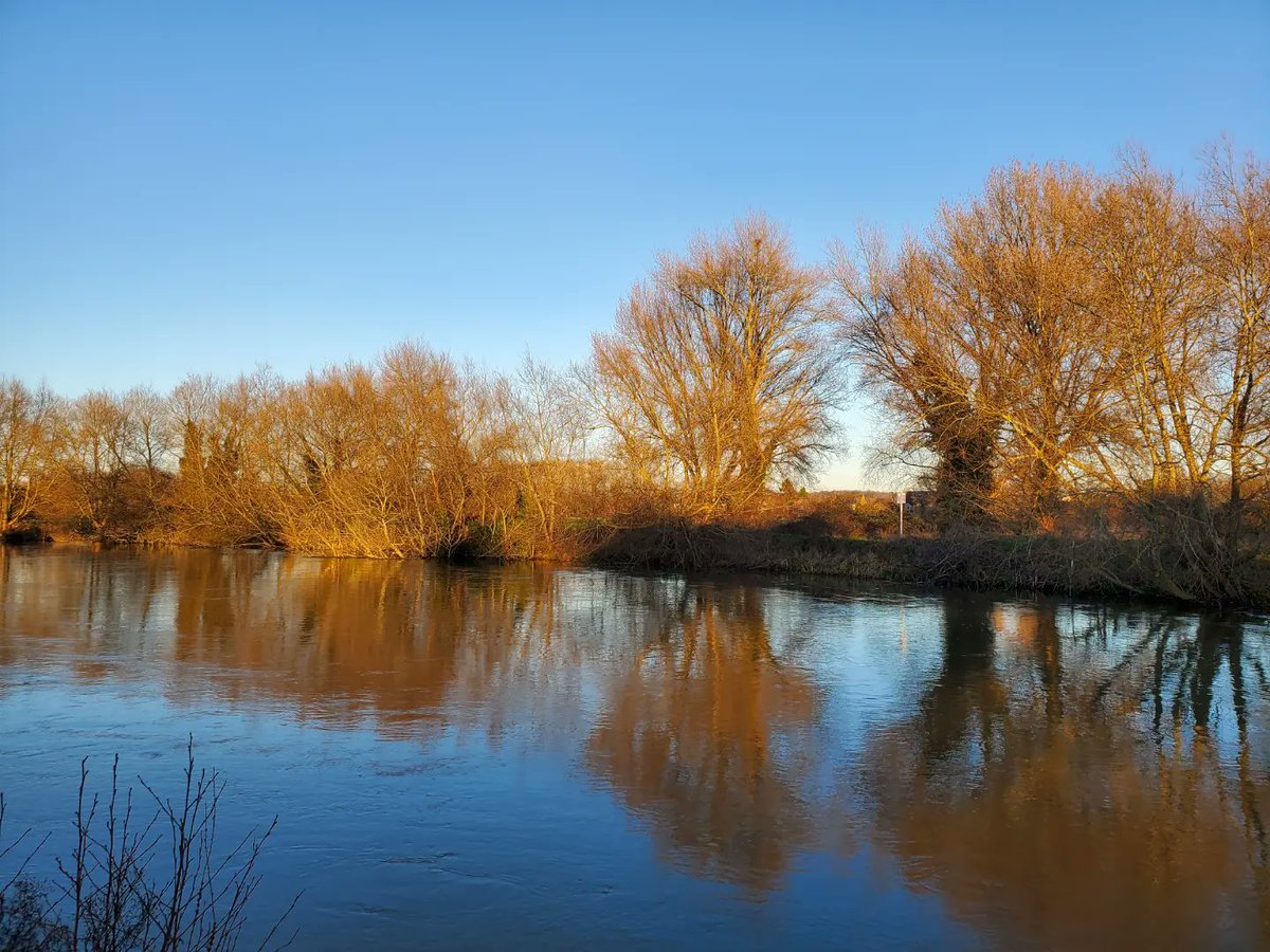 Morten Lidegaard tweet media