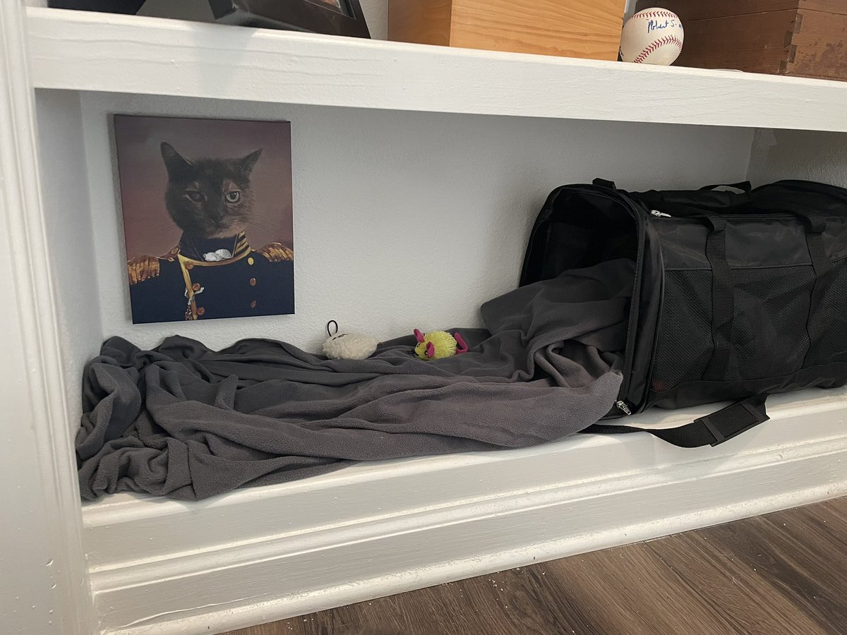 Brian_AJohnson's tweet photo. When your friend sends you a novelty portrait of your cat for Christmas, you hang it in her clubhouse / bottom shelf https://t.co/JEN42vTXEp