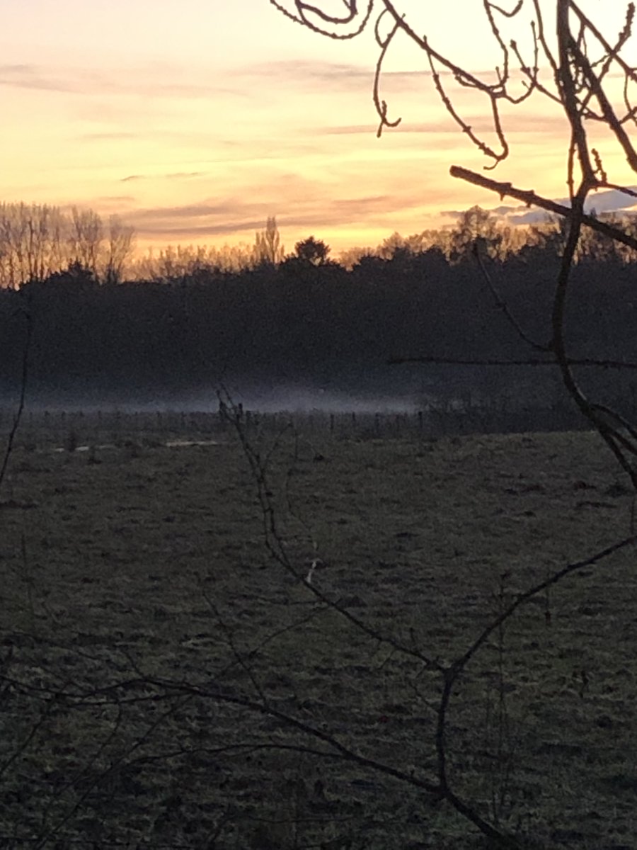 Perfect end to today’s walking you can just see the mist rolling over the fields towards us as the sunsets start-in the New Year as we mean to go lots of walking talking supporting each other on our individual journeys through nature #mentalHealth #Polish #Community #wellbeing