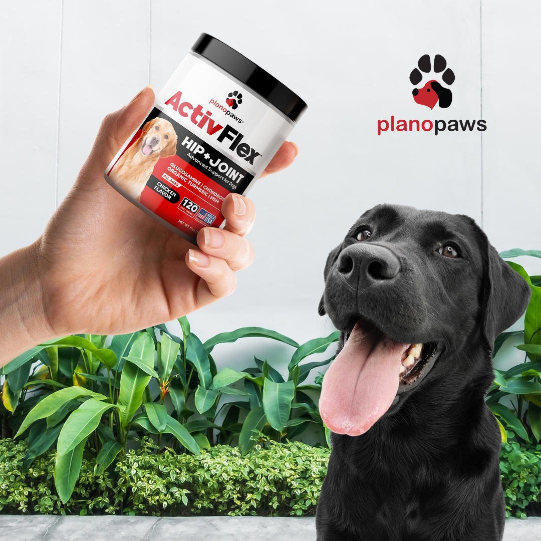 activflex for dogs