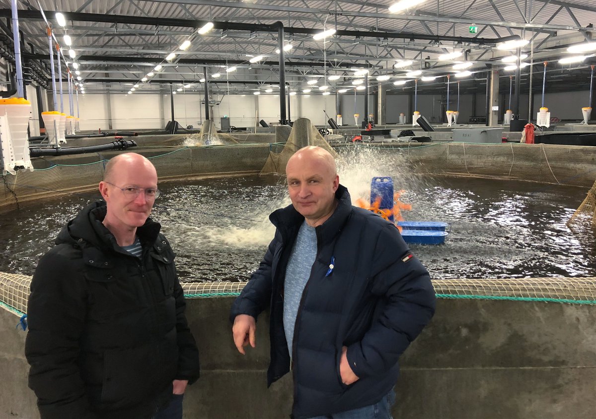 psuurone's tweet image. .#Fish farming by closed indoor #Recirculation #Aquaculture #Systems (#RAS) has rapidly grown around the world. RAS technology #offers #several #advantages over traditional aquaculture methods. High potential. Read more in iscg.fi @timovet
