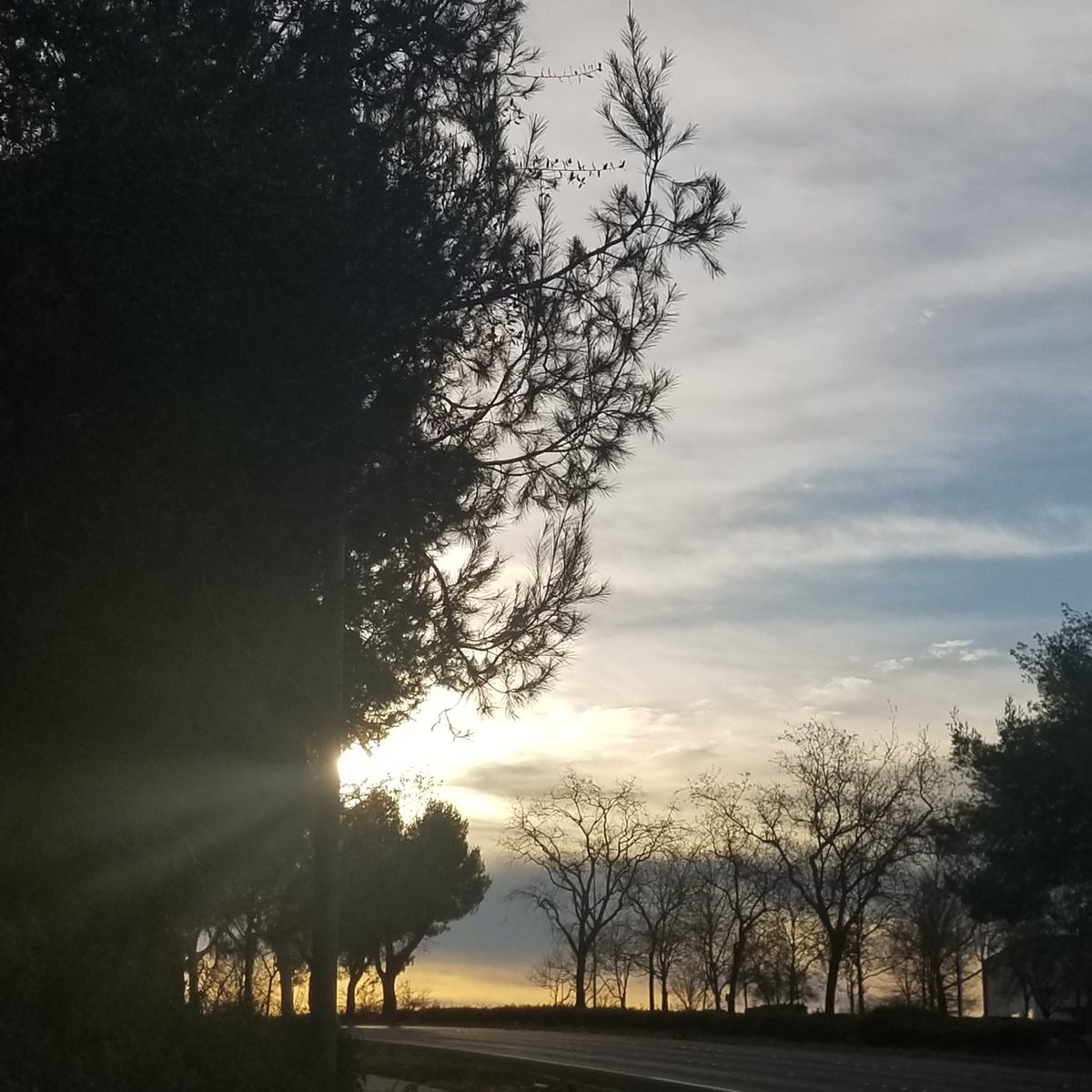 Becca_Californi's tweet image. Took some phone shots. It was a pretty morning for a long walk. Got to get those miles in. Did 3 miles!
#NorthernCal