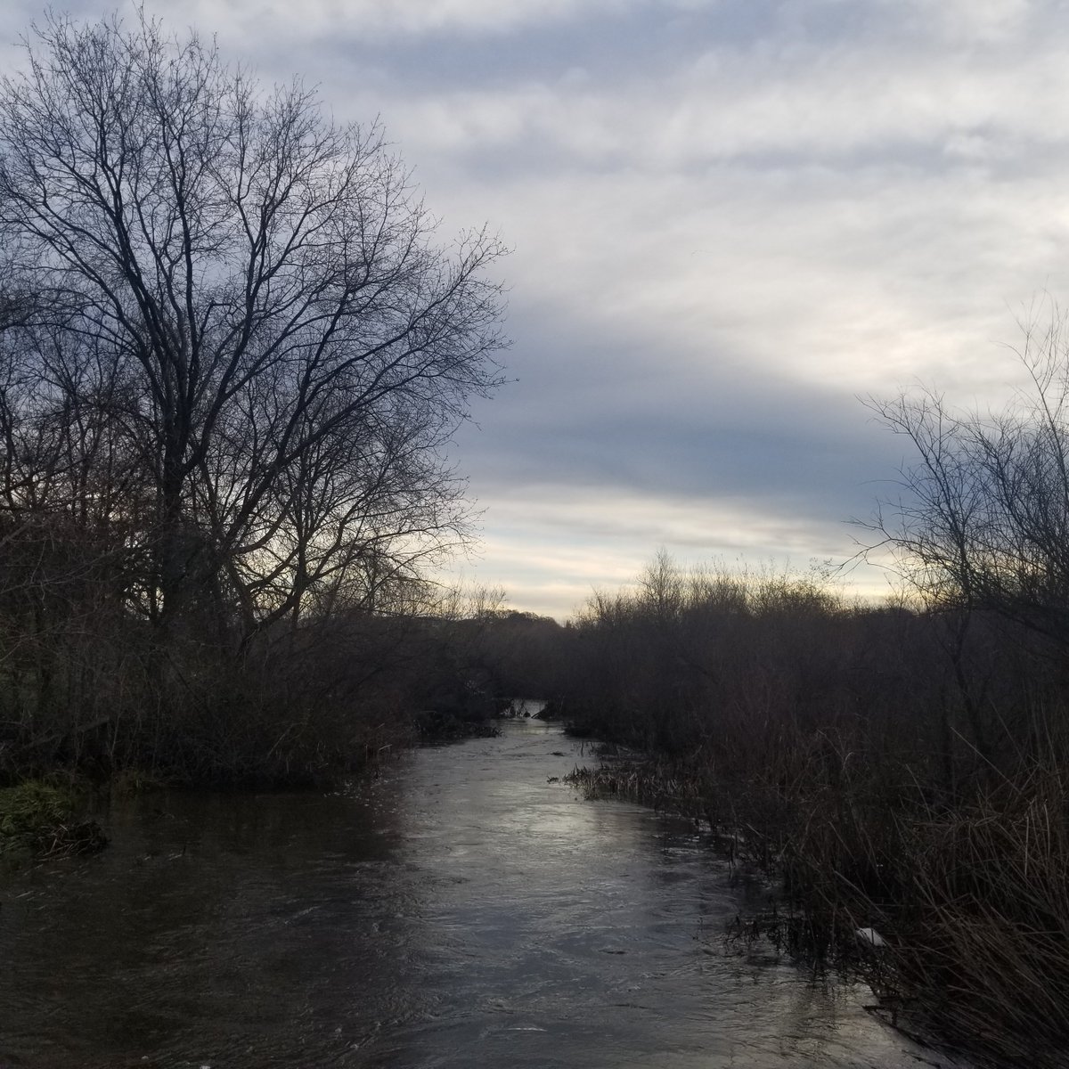 Becca_Californi's tweet image. Took some phone shots. It was a pretty morning for a long walk. Got to get those miles in. Did 3 miles!
#NorthernCal