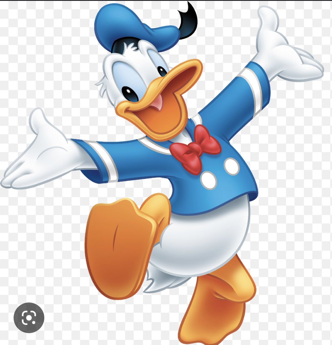 Donald Duck tweet media
