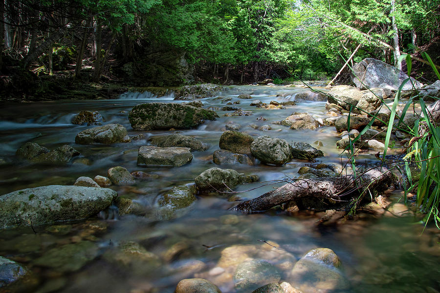jrtwynam's tweet photo. The #BeaverRiver flows through a #forest near the #SmallTown of #Eugenia, #Ontario, on a bright sunny day.
https://t.co/cegg7wRCZd
#BuyIntoArt #PrintsForSale #OnlineShopping #AYearForArt #Nature #NaturePhotography https://t.co/cCUPgtn4TF