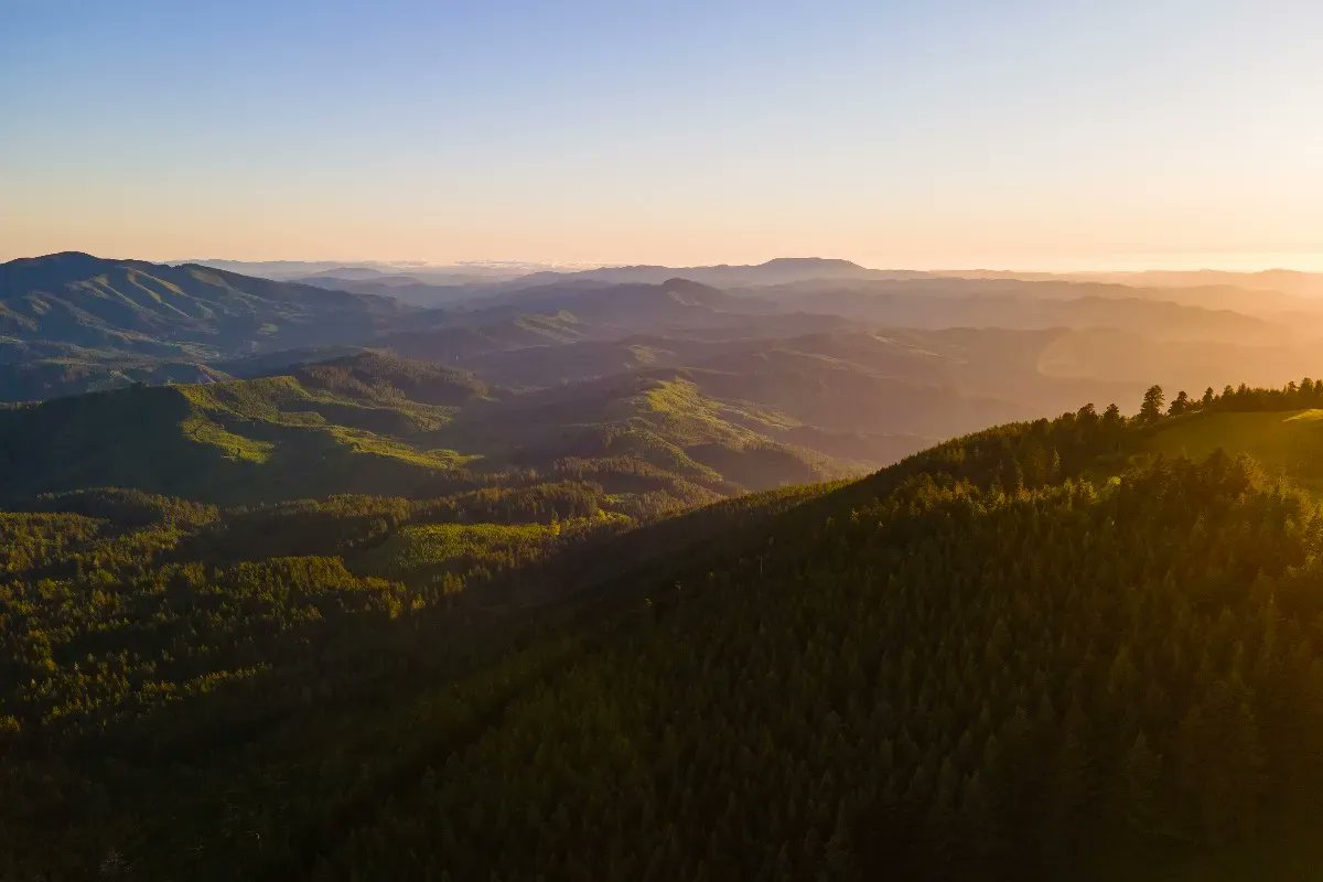 Beautiful Marys Peak, which offers camping, hiking, biking, stunning views, &amp; more, is just a short drive from #CorvallisOR in the Oregon Coast Range. Learn more: visitcorvallis.com/marys-peak