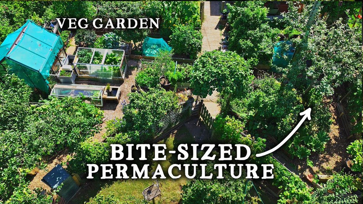 simplify_enjoy's tweet photo. Even in small spaces, you can create an abundant garden! https://t.co/XNeXwbTJ45 https://t.co/aK6DYQ3Tr1