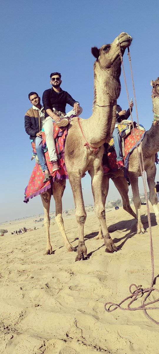 CamelSafari

#sam #desert #jaisalmerdiaries #camelsafari #quadbike #tour #newyear #vacation #enjoy #adventure #registhan #rajasthan #viral #reels #newyear #trendingreels #trending #travel #instadaily