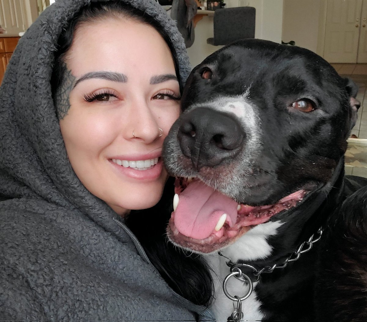 kj_fetishmodel's tweet photo. Pibble smile angel pupperooooonnnnniiiiiii https://t.co/VDtAlH0thY