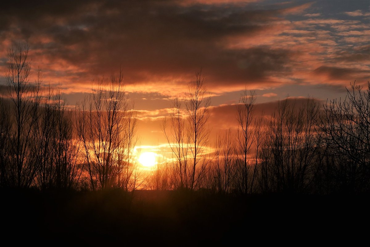 JanEichhorn1's tweet image. Mooie zonsondergang boven #HollandsKroon vandaag