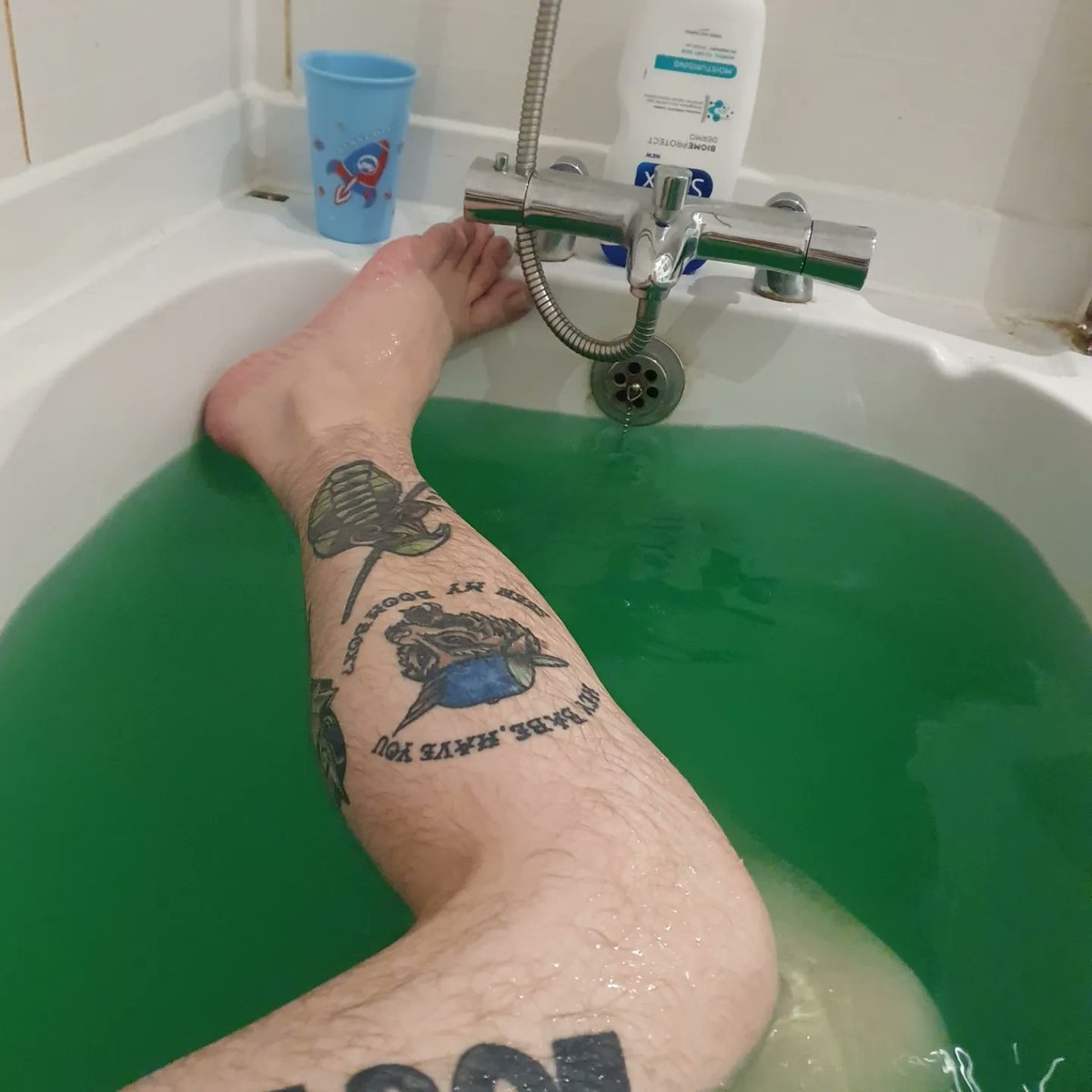 DirtPunk's tweet photo. I love my bath time 
#bisexuality  #bisexualityisvalid #onlyfansnewbie #onlyfansaccount #onlyfansuk #onlyfanspages #onlyfansman #onlyfanscreators #piercingsandtattoos #onlyfanscreator #onlyfansinbio #piercingsandtattoosboy #bisexualitypride #onlyfanspage https://t.co/pL4v5gRPLy