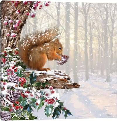batting_love's tweet photo. 可愛い動物たち(Cute Friends)🐿️🦉❄️⛄️💐🌺 https://t.co/J4gUmJk1aj