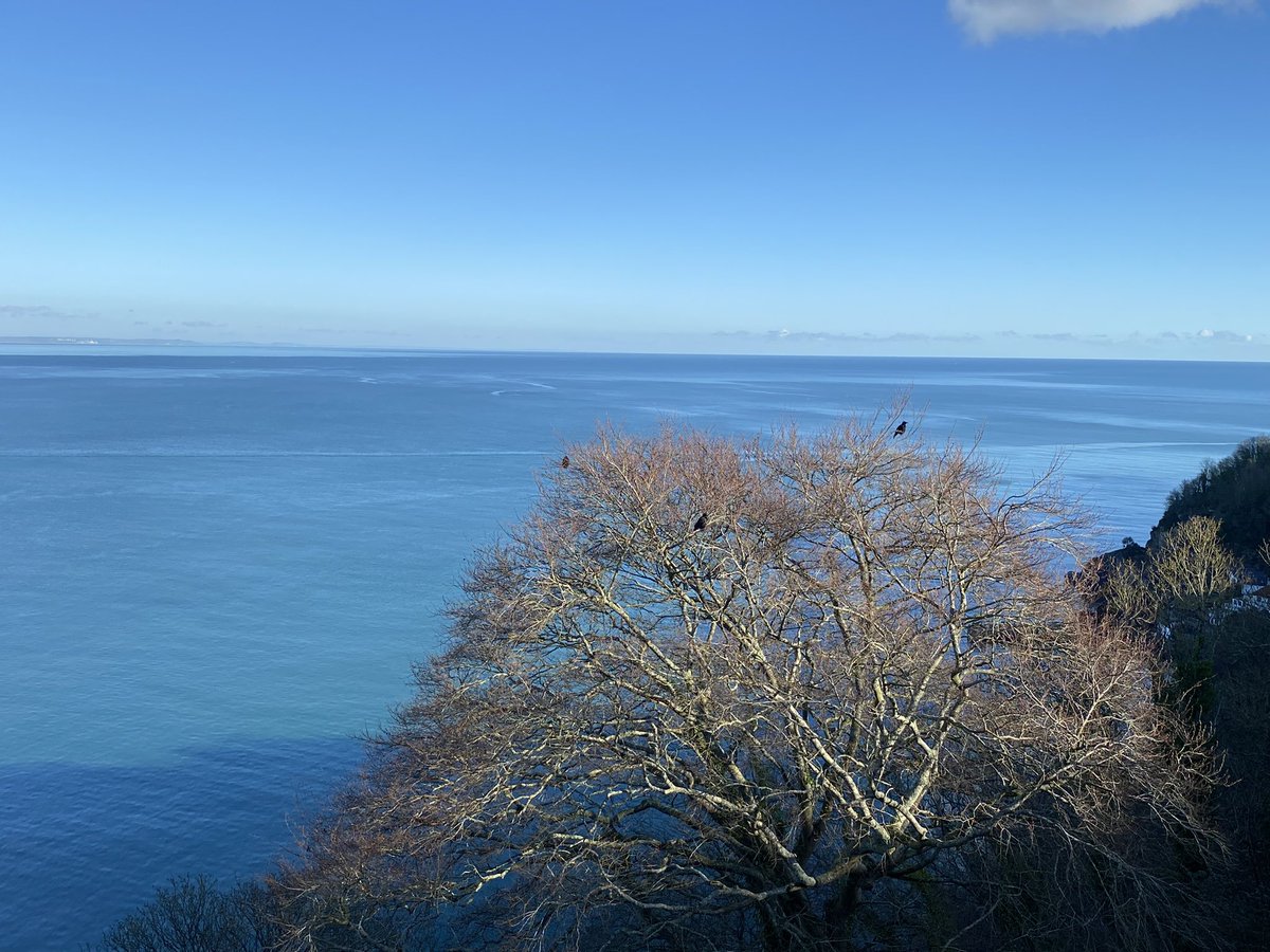 Angela Cossins tweet media