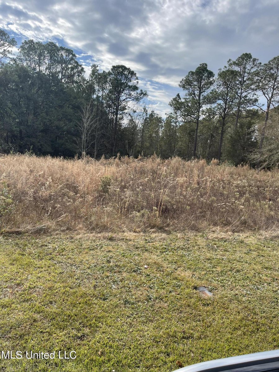 $9,500.00, Ready to build! Zone X! Gorgeous oak trees and other mature trees. Close to Hickory Hills Golf Club and I-10! Motivated seller!!!
Call Me TODAY! Sandy McGrath @Cell: 228-229-8252
#sandymcgrath #coldwellbankersmithhomes #daileyrdgaut #landforsale #secretcoast