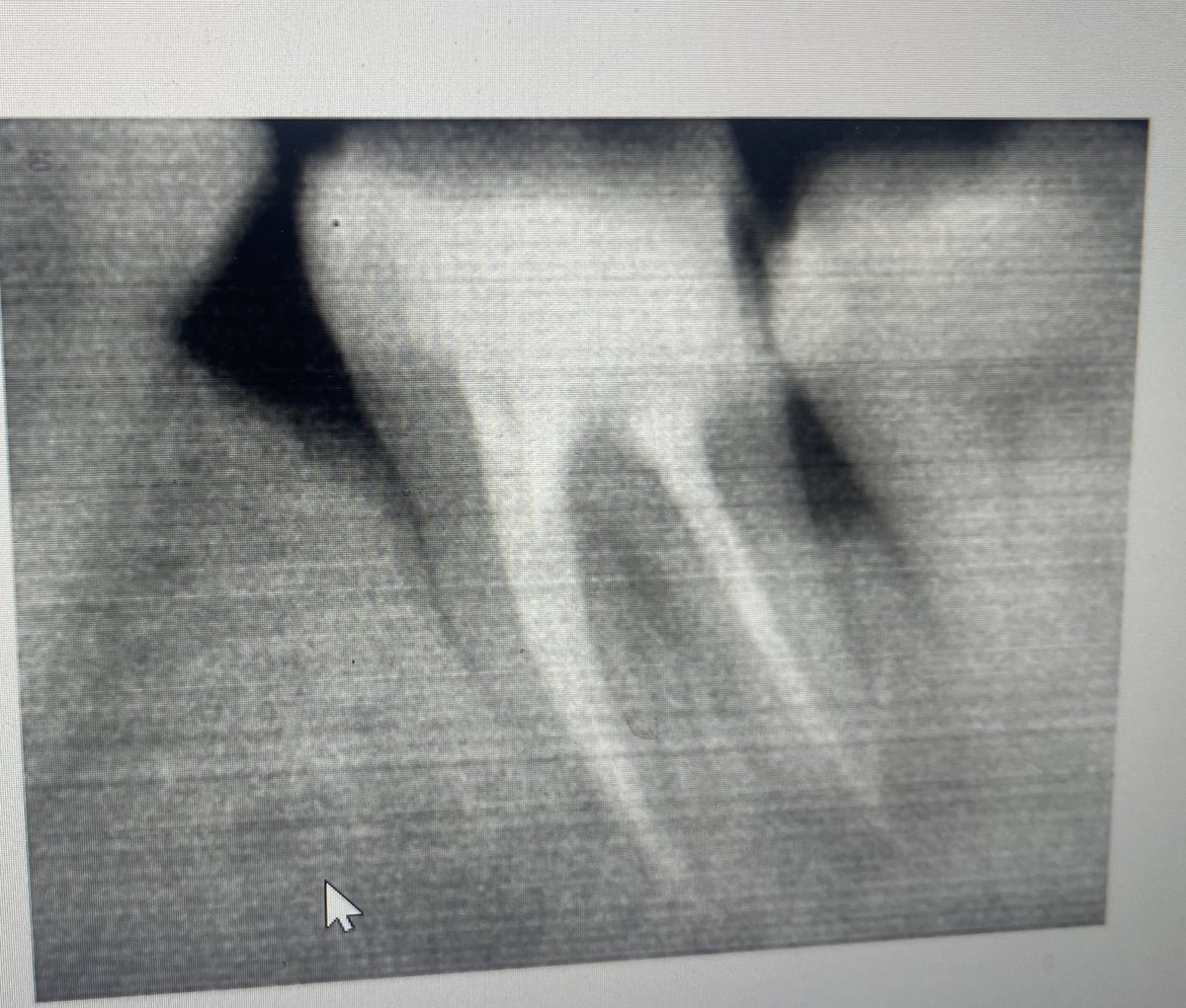 د. مشّاري tweet media