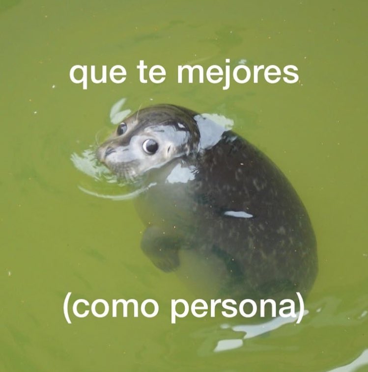 "yo dejo los bordes de la pizza porque no están ricos"

yo: