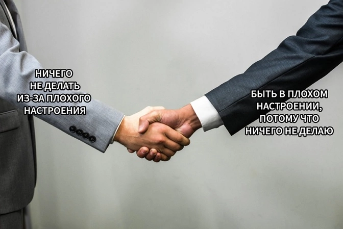 liltonder's tweet photo. https://t.co/MG97qOWOWb