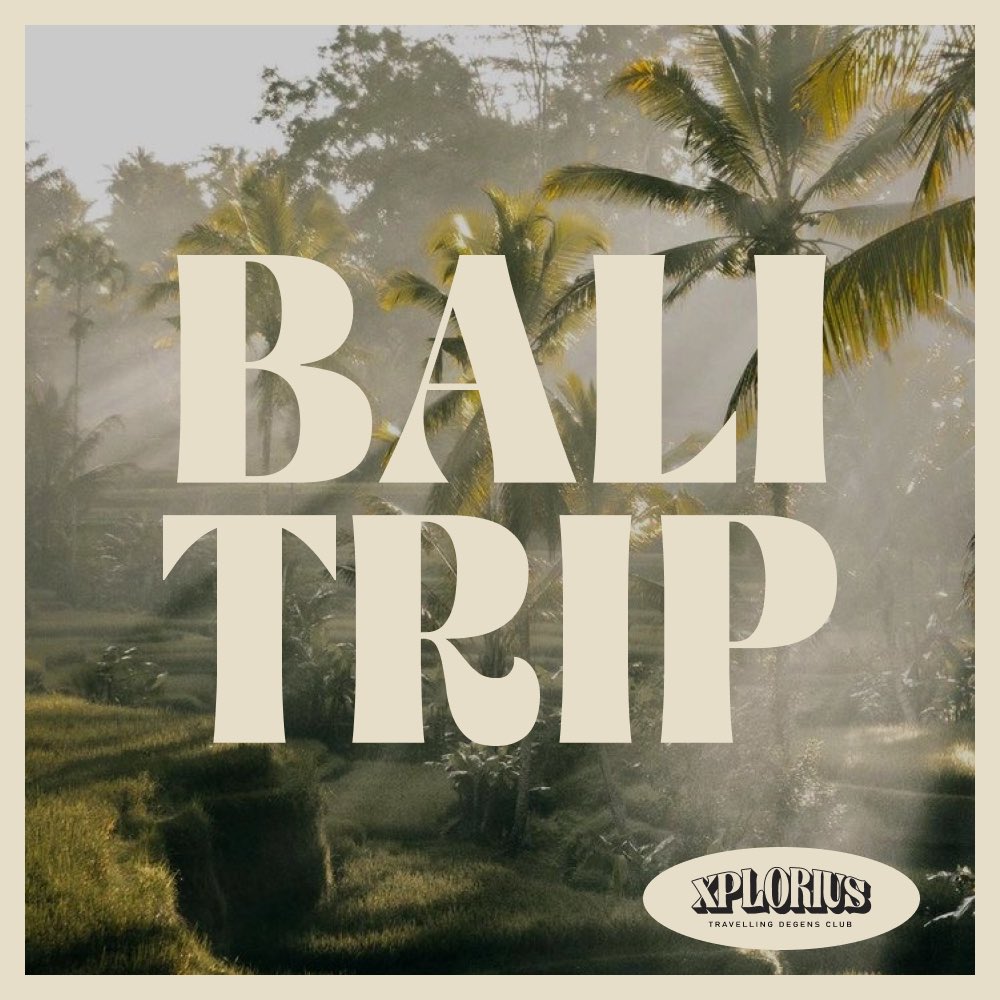 XPLORIUS | WEB2.5 TRAVEL tweet media