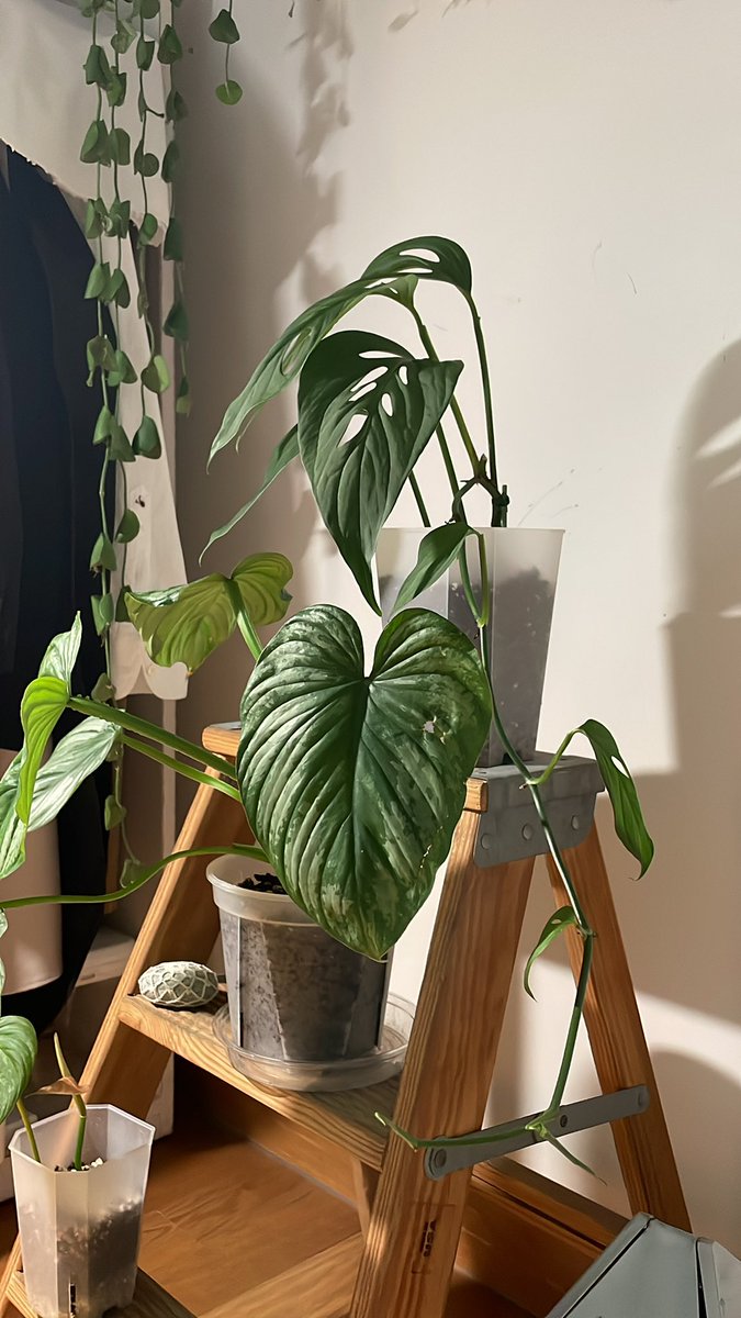 리듬감 있게 자라나고 있어🎶