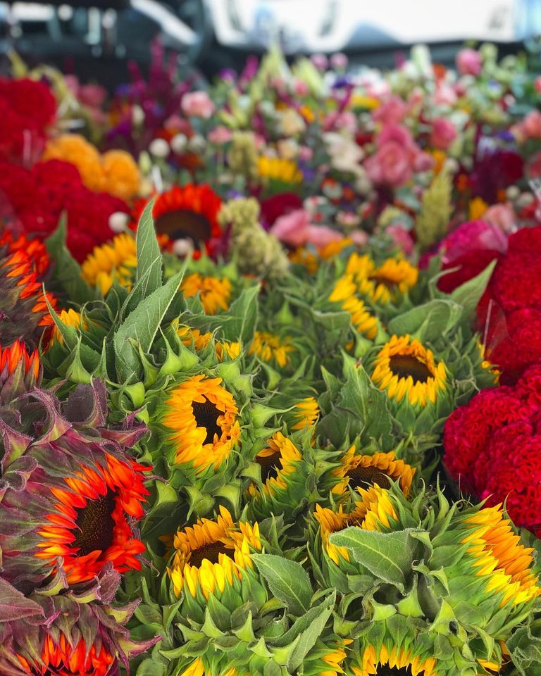 Metro Flower Market is a wholesale flower market that sells to florists, DIY floral designers, & the general public. Stop by and see us for fresh flowers, green plants, flowering plants & more!

#metroflowermarket #wholesaleflowers #freshflowers #florist #diysupplies #chantillyva