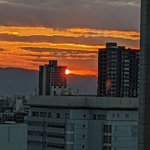 ツイートに含まれる画像