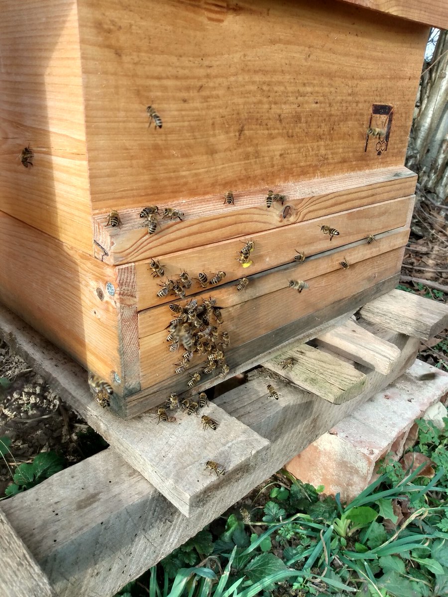 Marco - @magomi@chaos.social tweet media