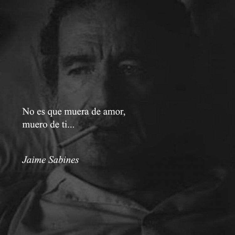 WLado_1's tweet photo. https://t.co/SLTIroLZLr