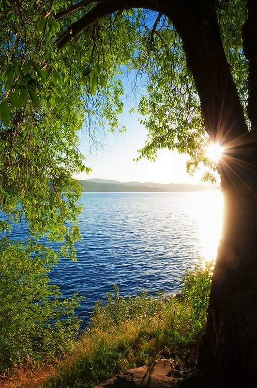 __Earthpictures's tweet photo. https://t.co/rvafJn9UKk