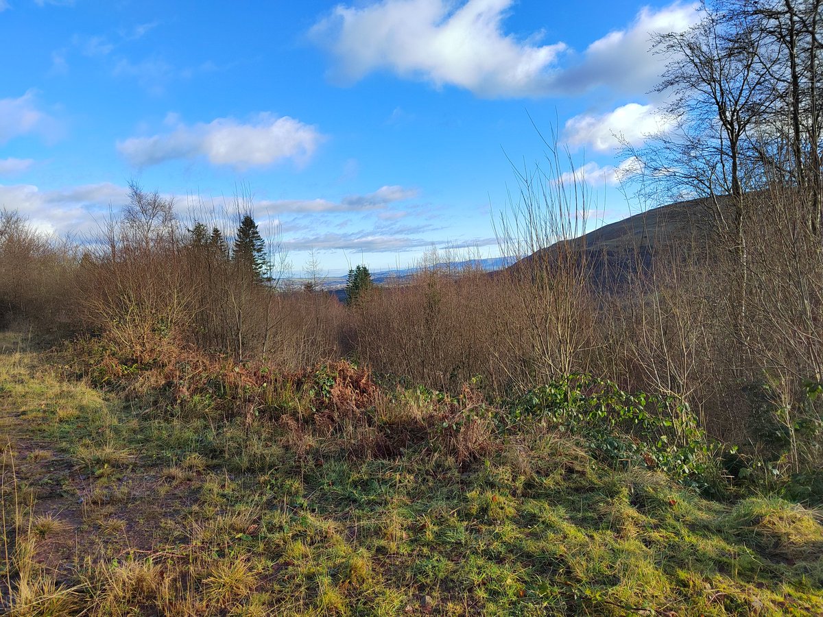 Martin Whittaker tweet media