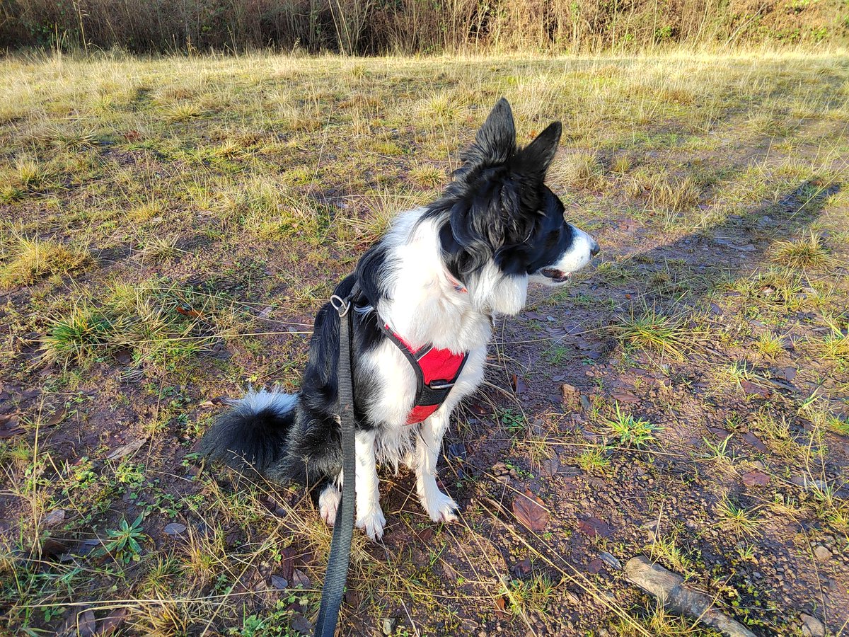 Martin Whittaker tweet media