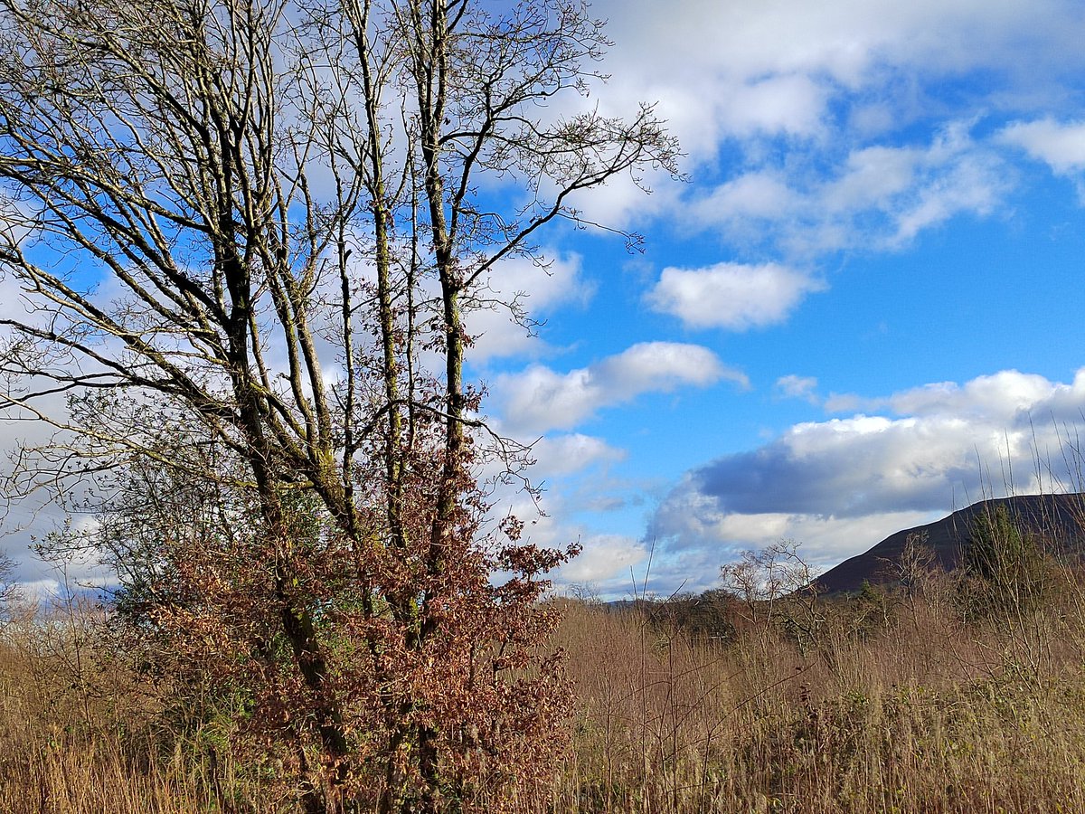 Martin Whittaker tweet media