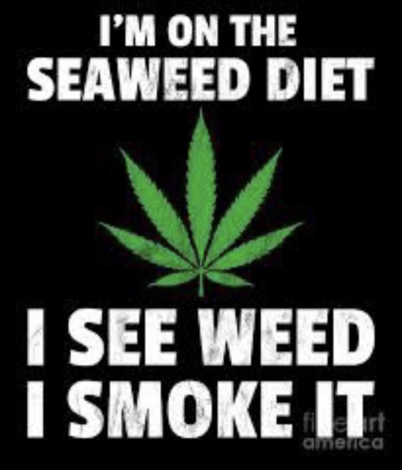 StudioRonnie's tweet photo. Scraping this off my window with a razor blade rn, thanks @TheShatManRises
#stopjackingoff #nodrugs #weed #trainaccident #mondaymotivation #blessed #2023NewYear #findfishy https://t.co/6fGhb8nKFp
