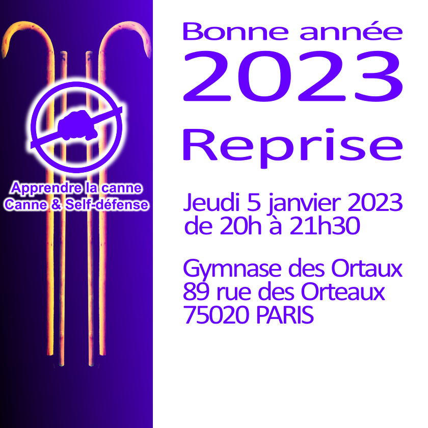 CanneApprendre's tweet photo. #canne #selfdefense #cannedecombat #cannedefense #cane #canefight #stickfighting #selfdefence #Paris #Paris20 https://t.co/CllsRATEPw