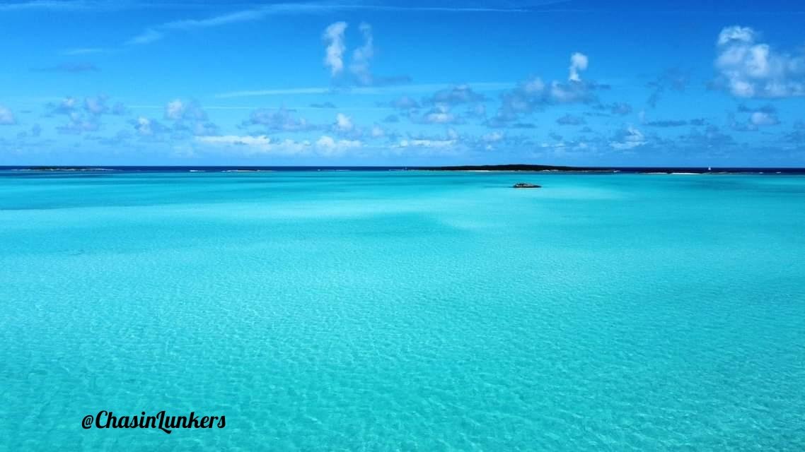 CanuckPalms's tweet photo. Monday blues π
https://t.co/KKqEyXuSUk
#PureSimpleBlue
πΈ @chasin_lunkers
#chasinlunkers #sandbar #bahamas #fishing #islands #sharks #tropical #travel #FreshnSalty #vacationbahamas #holidayfishing #repyourbrand #thecanuckdropshere #fishbahamas #tuna #deepseafishing #flyfish https://t.co/CpMSC7m9Ui