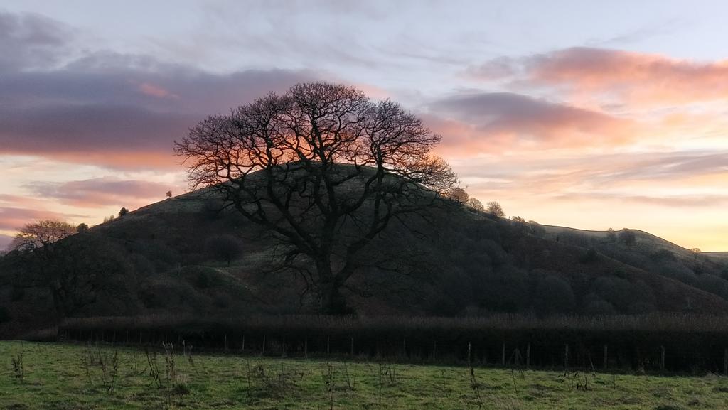 Jane38Harrop's tweet photo. Beautiful start to the New Year https://t.co/L3E6JUUPZY