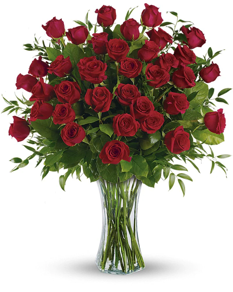 springgardenfs's tweet photo. You can expect excellent customer service, fresh flowers, plants, gift baskets &amp; more when you shop with Spring Garden Flower Shop. 

🌹Shop in person or at https://t.co/mOe0hrRI2Y.
#freshflowers #floristoftexas #shoplocal #familyflorist #springgardenflowershop #sanantonioflorist https://t.co/OozWXUCxKt