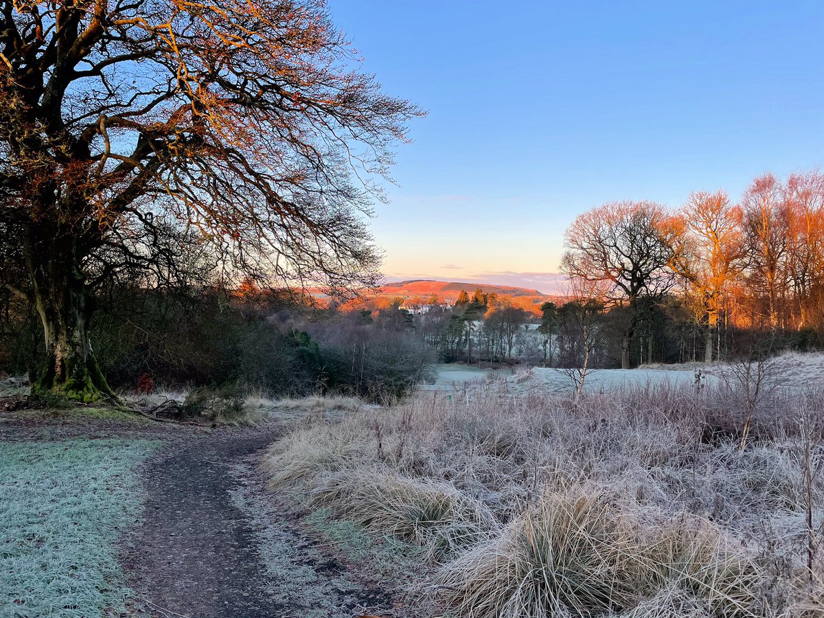 Such a glorious morning for a walk.