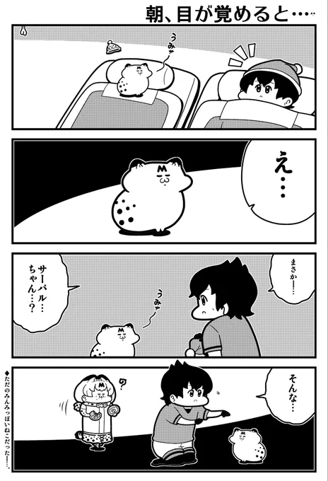 みんみっぽいねこ 